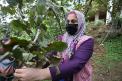 “Kovid-19 savaşçıları” aşı hizmetini fındık bahçesinde vatandaşların ayağına götürüyor